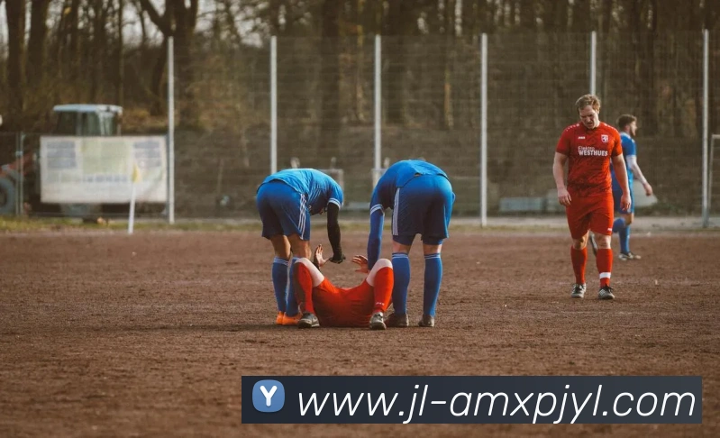 App Interface Preview